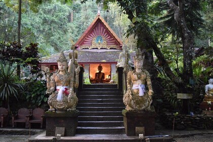 Half Day Doi Suthep Temple and Palad Temple (Private tour)