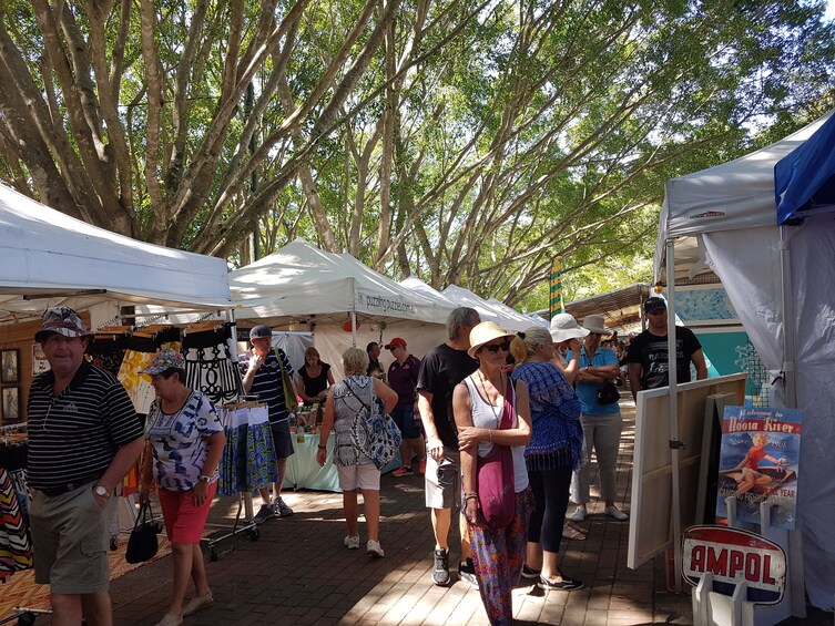 Eumundi Market & Sunshine Coast Hinterland Tour