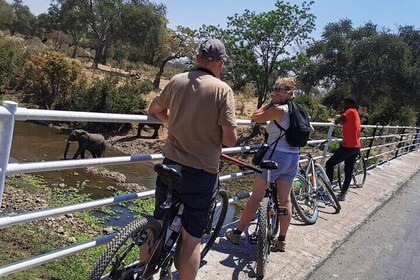 Nature and Falls Tours