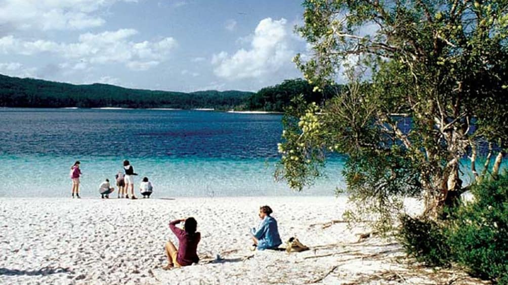 group of people on sandy beach and near water in Brisbane