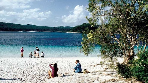 Full-day Fraser Island 4x4 Adventure Tour