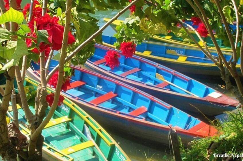 Boats on Phewa Lake