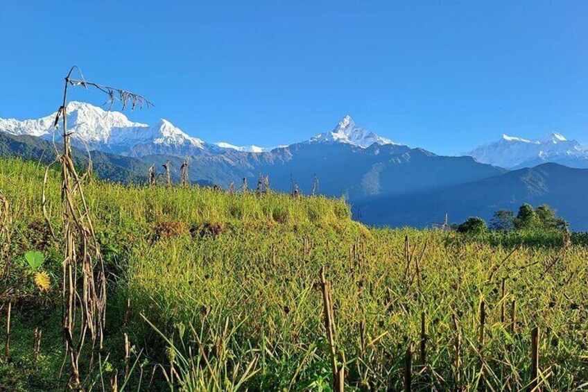 Pokhara: Easy Day Hike to Australian Camp & Dhampus Village