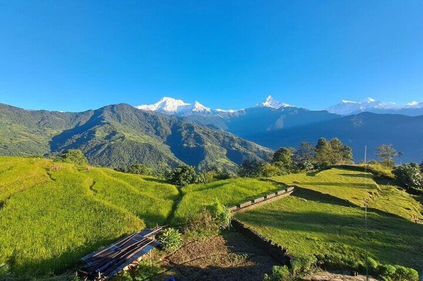 Pokhara: Easy Day Hike to Australian Camp & Dhampus Village