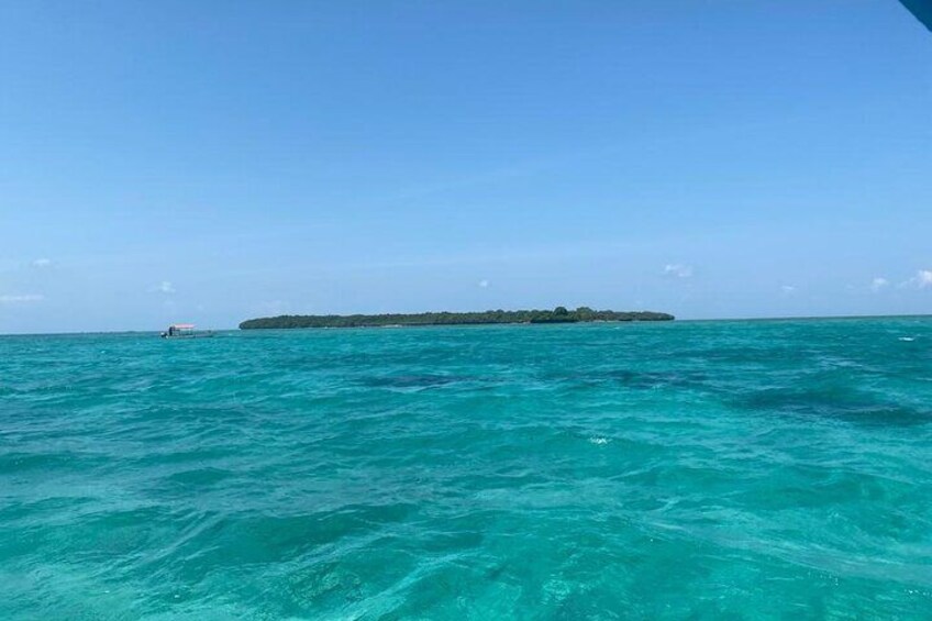 Fullday trip to Pungume and Uzi Island for Snorkeling and more