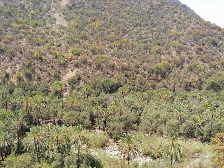 half day trip to paradise valley