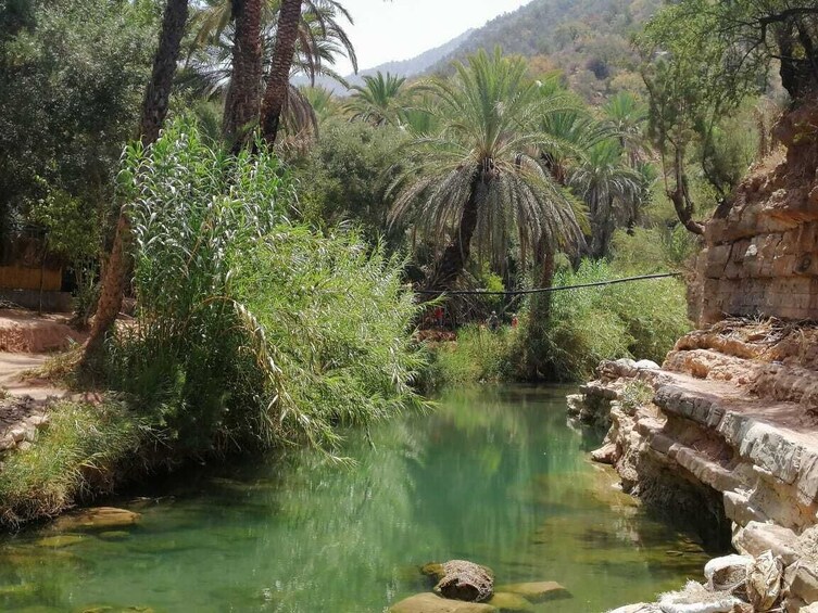 half day trip to paradise valley