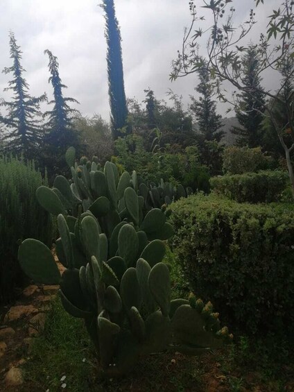 half day trip to paradise valley