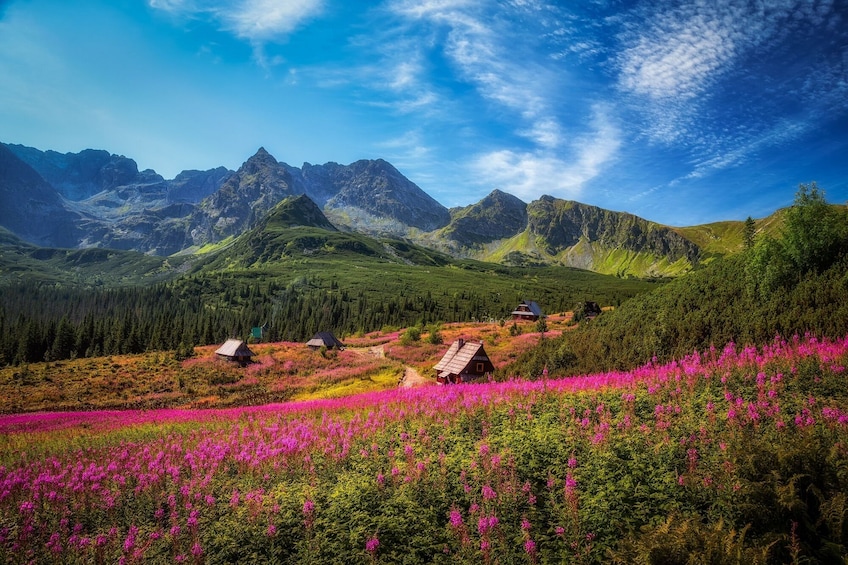 Tatra Mountains & Zakopane - private tour 8-9 h