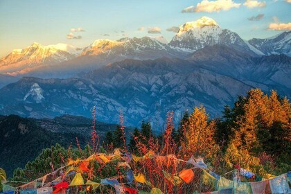 Ghorepani Poonhill Trek 5 Days from Pokhara