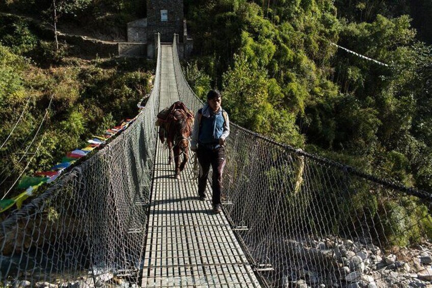 Suspension bridge