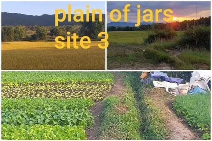 The Old capital tour combined with Plain off jars