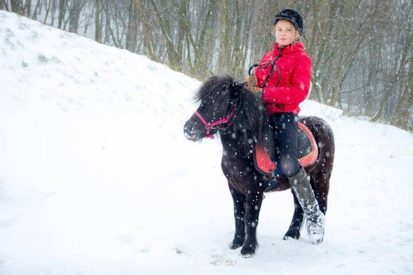 Three hours of horse riding tour from Zubra village to Lviv city and back