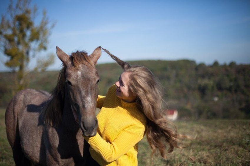 Three hours of horse riding tour from Zubra village to Lviv city and back