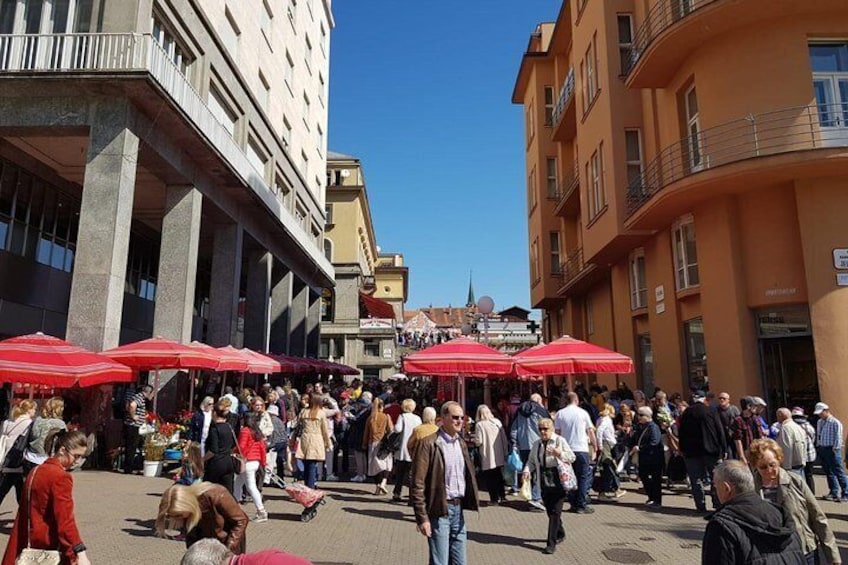 Feel the Pulse of the City - Small Group Zagreb Walking Tour