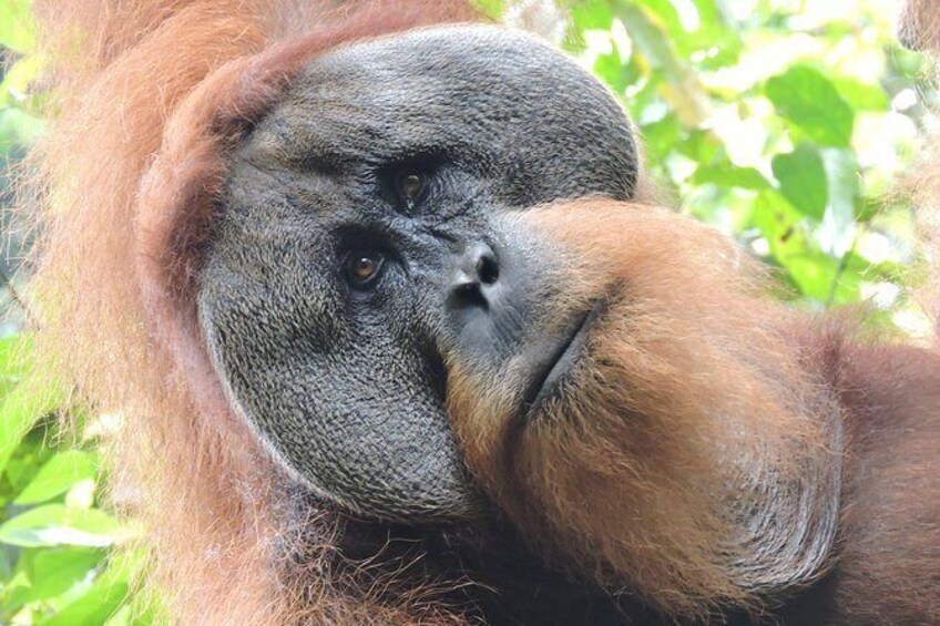 6 Day Extreme North Sumatra Adventure - Volcano Climb Rafting Overnight Jungle Trek Caving