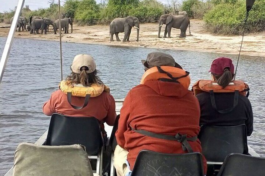 Private boat cruise Chobe River Front