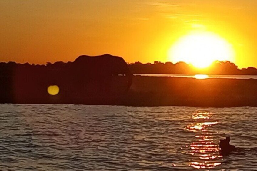 Chobe River sunset cruise