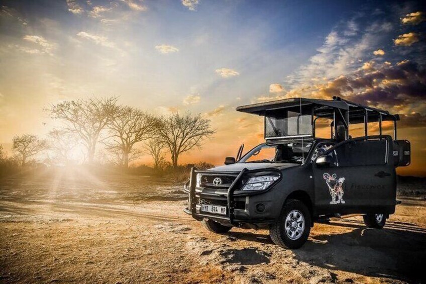 Kruger National Park Private Guided Morning Game Drive