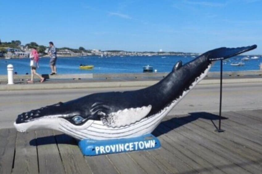 Provincetown Scavenger Hunt: The Crown Jewel of Cape Cod