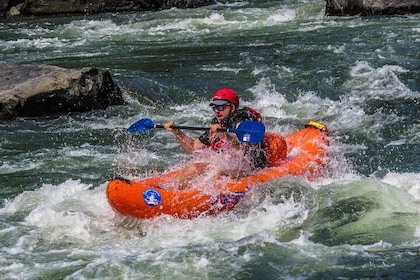 Half-Day Raft Trip des Rogue River Hellgate Canyon