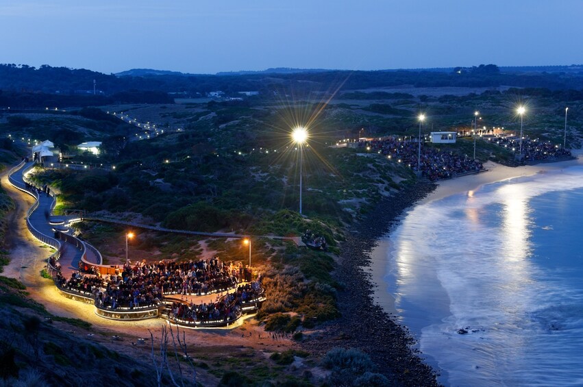 Phillip Island Penguin Parade, Moonlit Sanctuary & Seal Rocks Day Tour