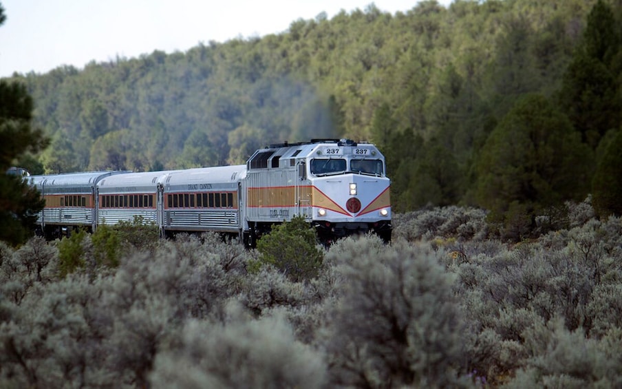 Grand Canyon Tour with Train Ride