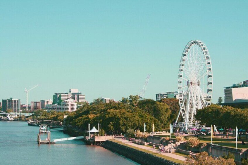 Self Guided Adventure Hunt: Brisbane’s Perfect Recipe