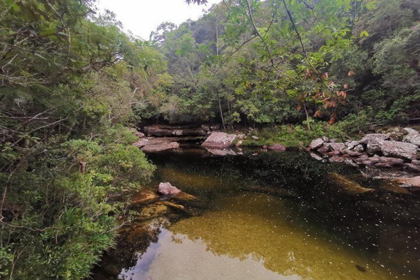 Caño Cristales 3 days Adventure 