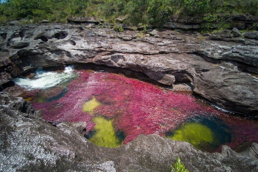 Caño Cristales 3 days Adventure 