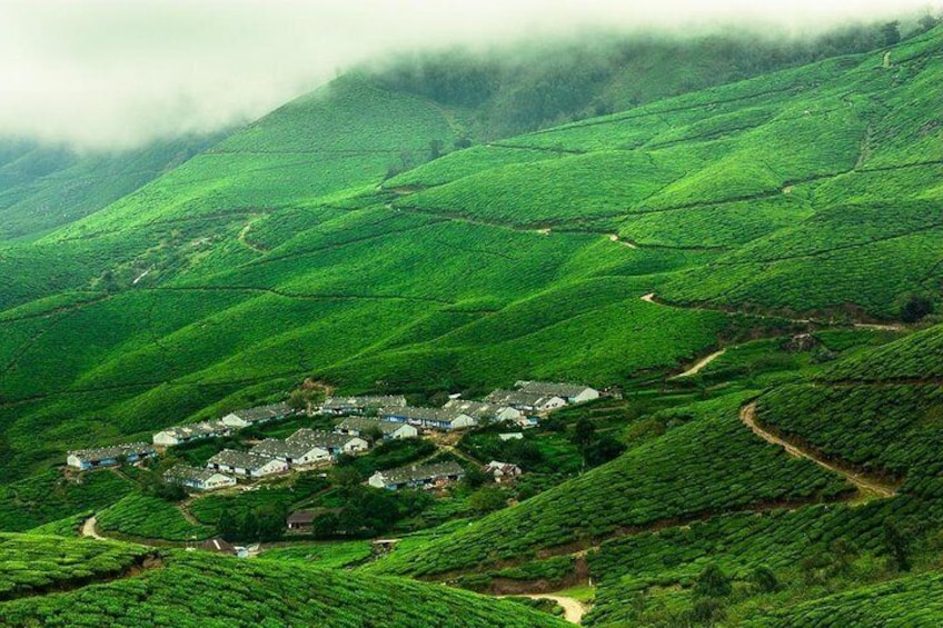 Kolukkumalai Trekking with Night stay in Tent