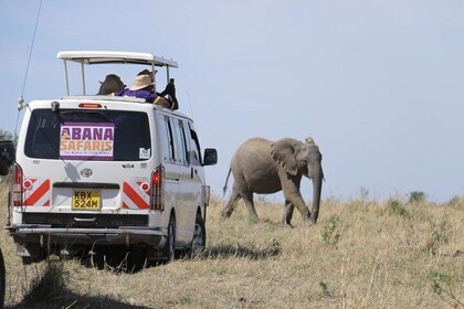 3 Days Maasai Mara Safari