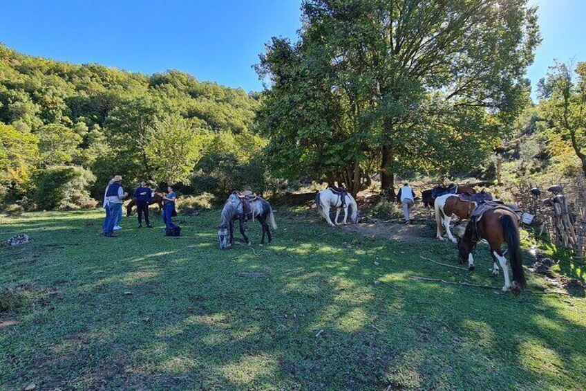 Amazing Horse Riding Experience at Vjosa National Park in Permet