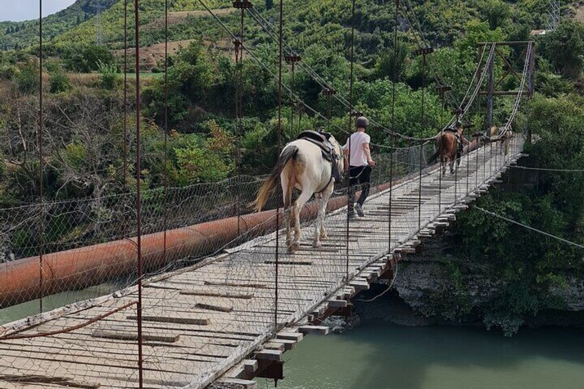 Amazing Horse Riding Experience at Vjosa National Park in Permet