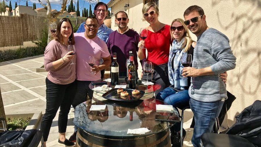 Private Winery Tour near Madrid with Sommelier