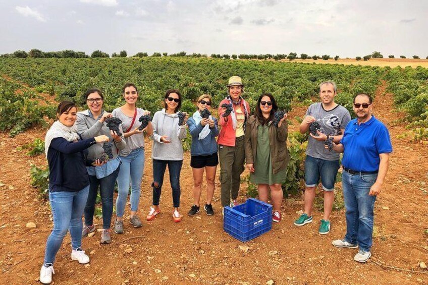 Private Half-Day Wine Tour near Madrid - Rated 'Unique and Personalized'