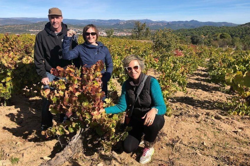 Private Half-Day Wine Tour near Madrid - Rated 'Unique and Personalized'