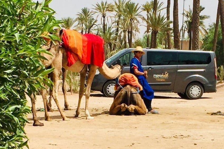Camel Ride & Quad Biking Half Day in Marrakech