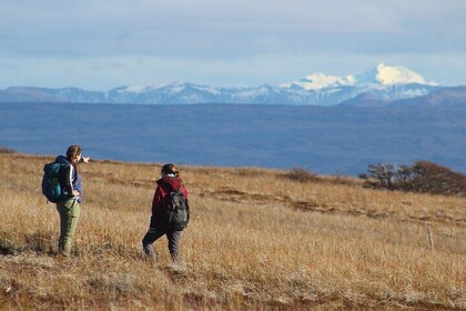 Private Patagonian Forest Hike in Punta Arenas: 6 Hour