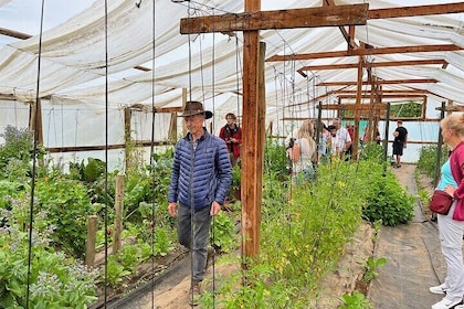 A Day in the Countryside: Family Farm & Spa Experience