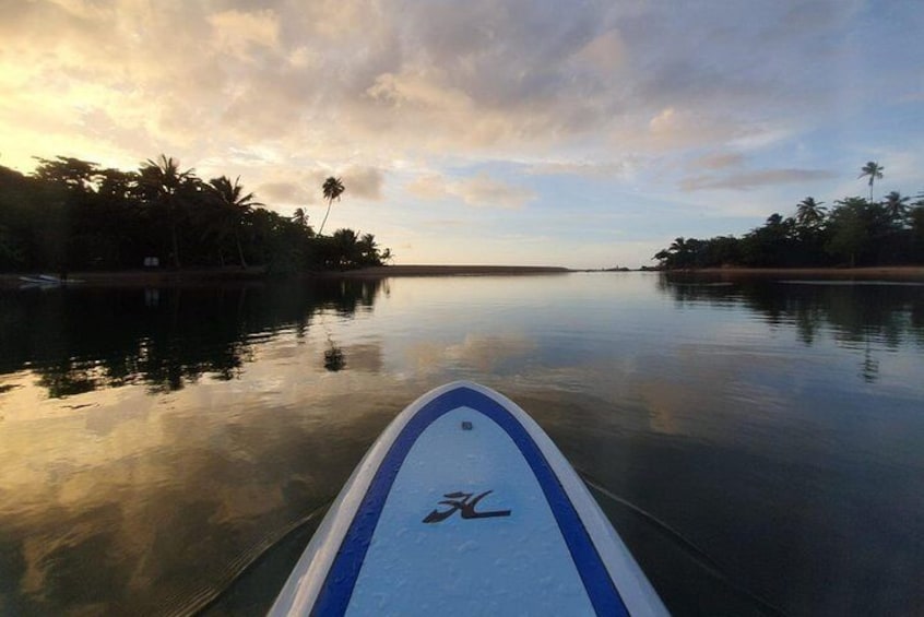 Stand-up Paddleboarding Adventure in the amazing tropical Guajataca River. 