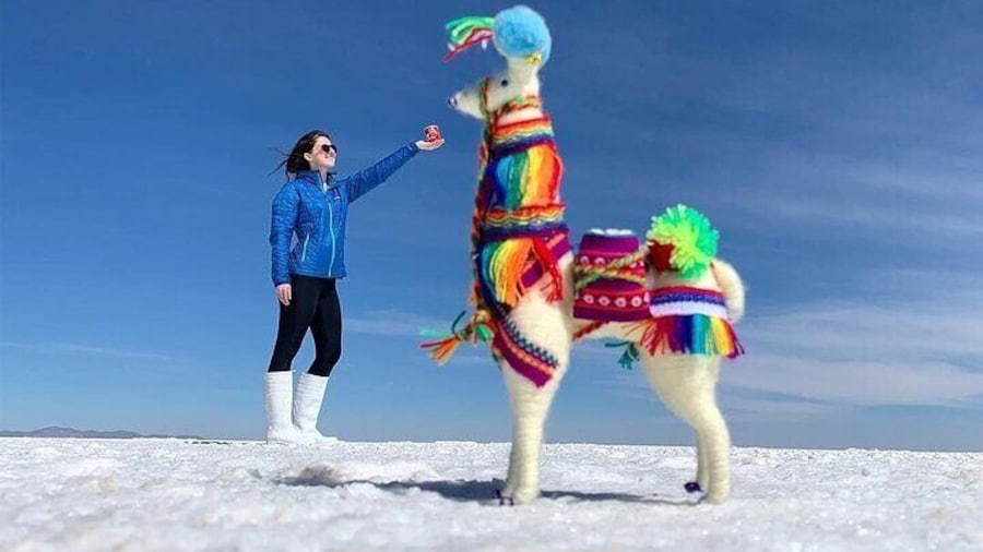 Uyuni Salt 1 day Tour with guide in English