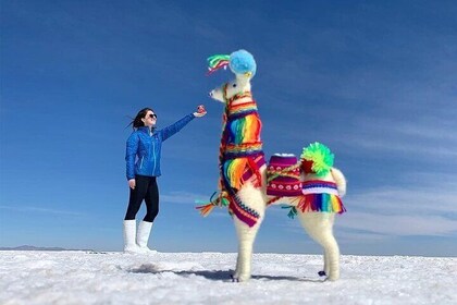 Uyuni Salt 1 day Tour with guide in English