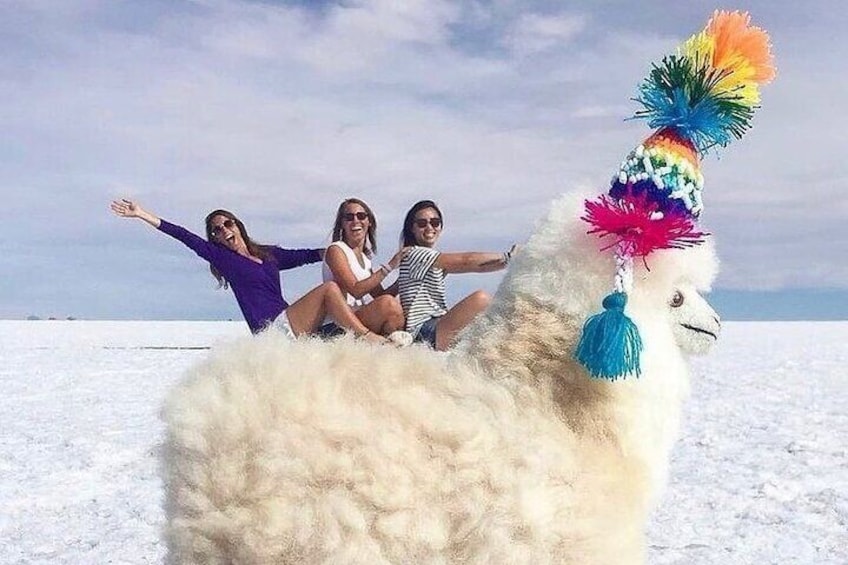 Uyuni Salt 1 day Tour with guide in English