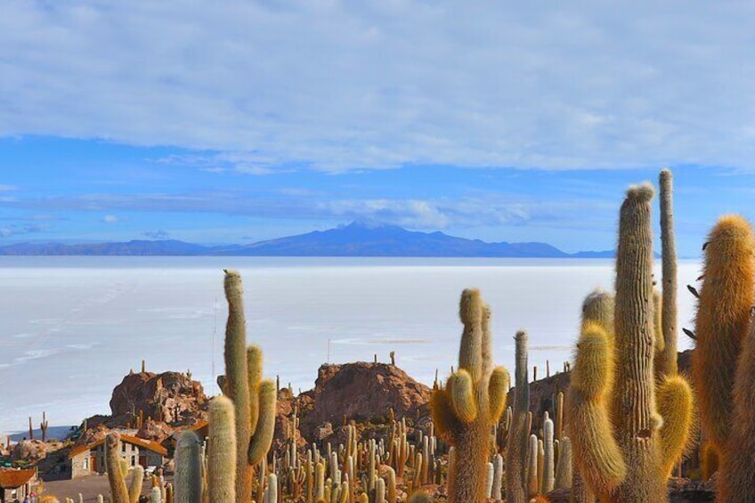 Uyuni Salt 1 day Tour with guide in English