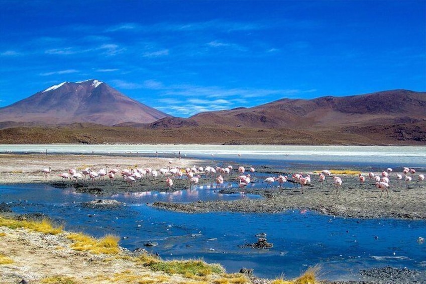 Uyuni Salt Flats - 3 Days/2 Nights + Transfer San Pedro de Atacama - English
