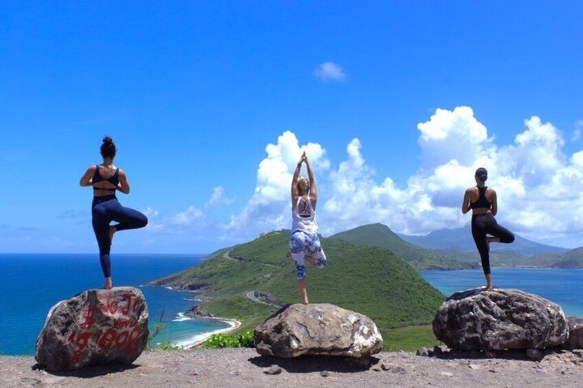 You'll feel confident practicing your tree pose enjoying this view 