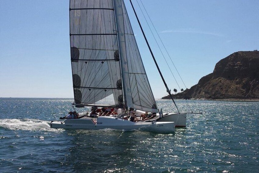 Sailing Catamaran Adventure 2.5 hours, Small Groups.