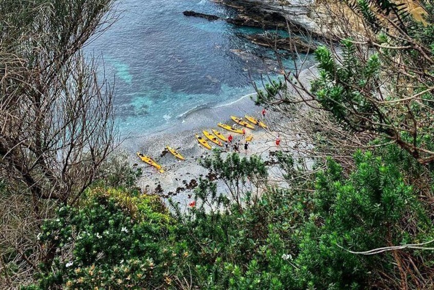 Batemans Bay Overnight Kayak Camping Tour from Canberra - All Inclusive