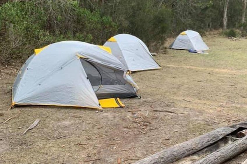 Batemans Bay Overnight Kayak Camping Tour from Canberra - All Inclusive